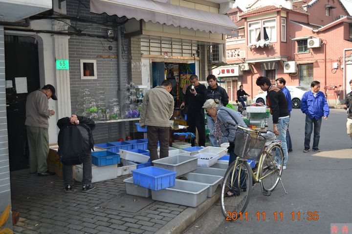 nEO_IMG_江阴路市场 102.jpg