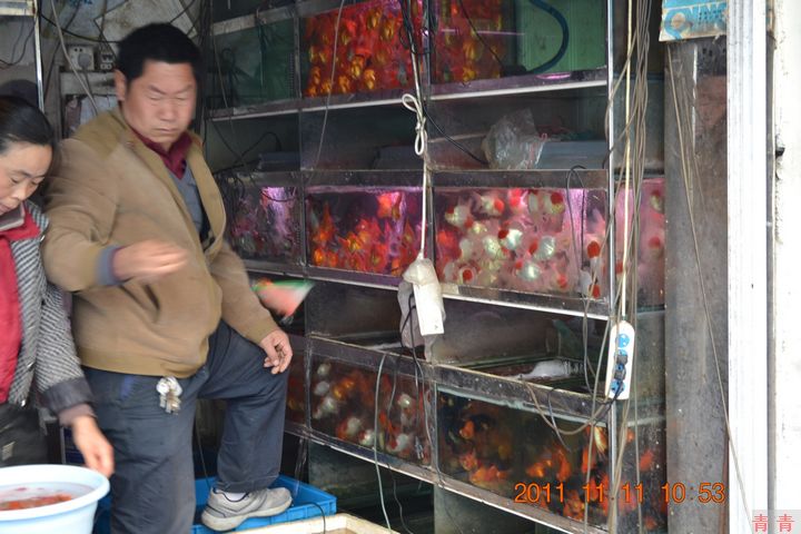 nEO_IMG_江阴路市场 014.jpg
