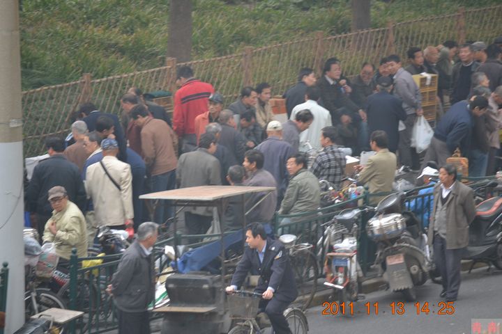 nEO_IMG_松江醉白池 126.jpg