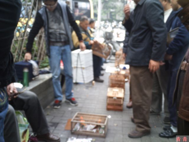 nEO_IMG_PICT5105.jpg