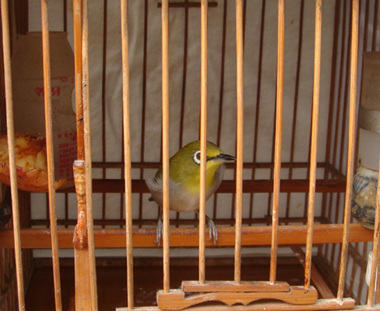 dsc04461_副本.jpg