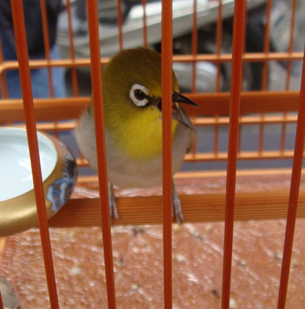 dsc04483_副本.jpg