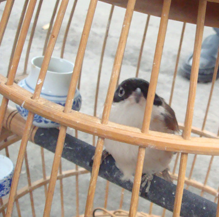 dsc04429_副本.jpg