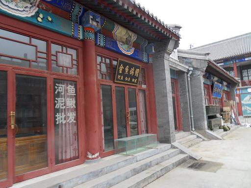 SDC13268.JPG