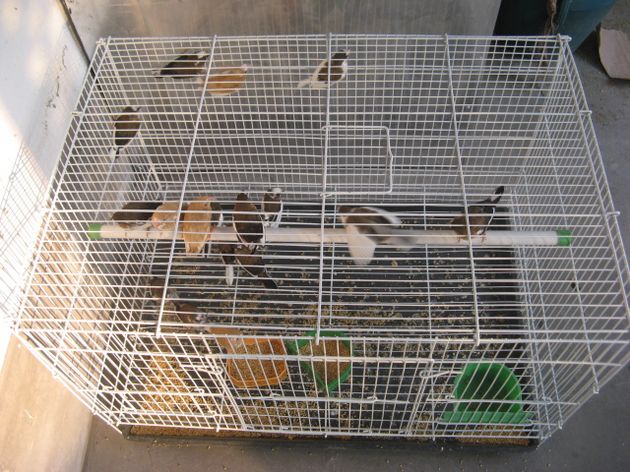 照片 255.jpg