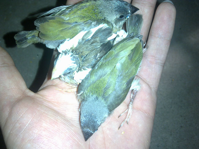20111121758.jpg