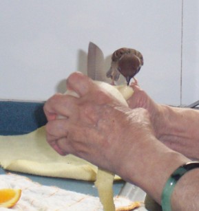 QQ截图20111127000335.jpg