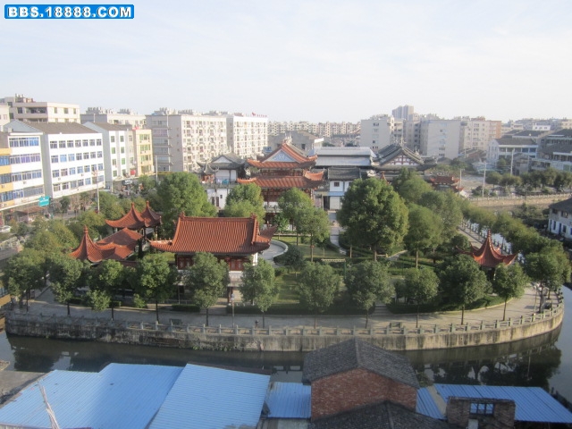 我的鱼 025.jpg