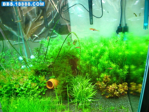 照片 001_副本.jpg