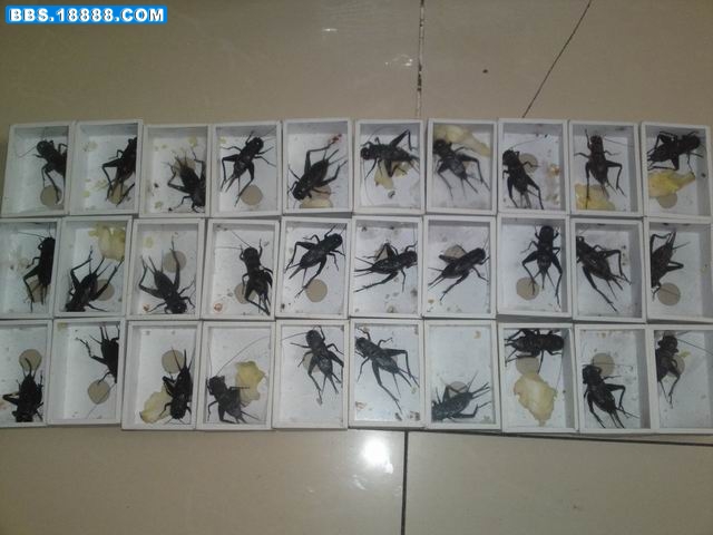 20111105843.JPG