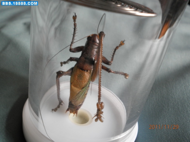 PB290057.jpg
