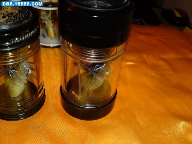 20111117893.JPG
