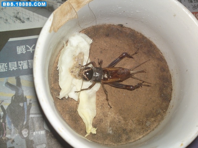 20111121905.JPG