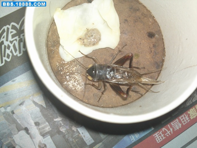 20111121910.JPG