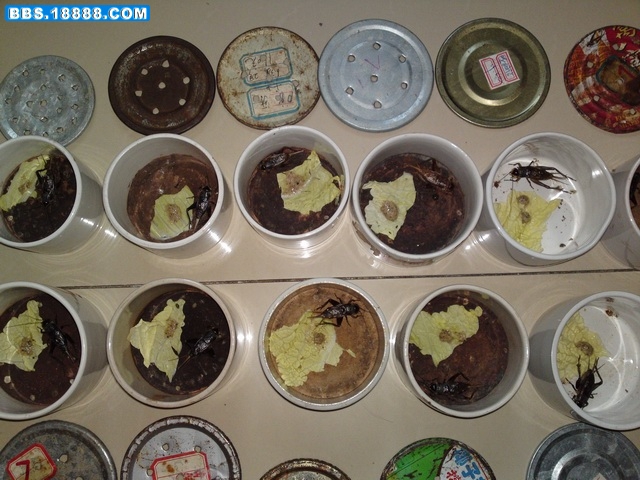 20111122921.JPG