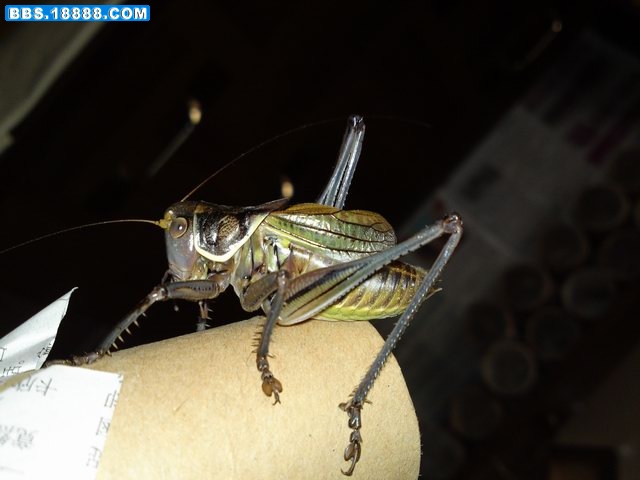 20111115875.JPG