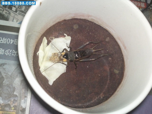 20111121902.JPG