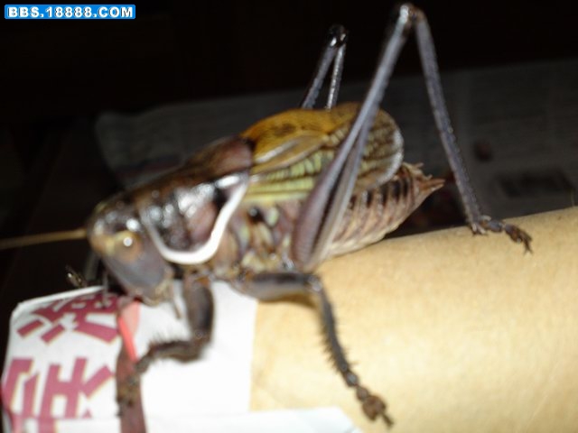 20111115876.JPG