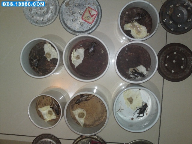 20111121911.JPG
