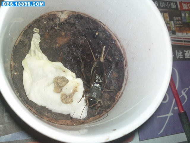 20111121907.JPG