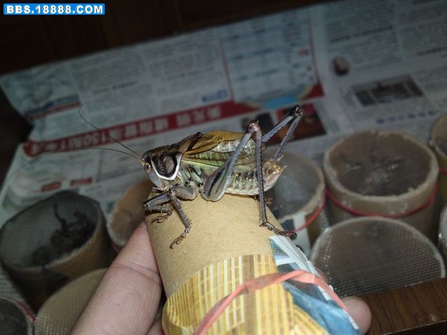 20111115879.JPG