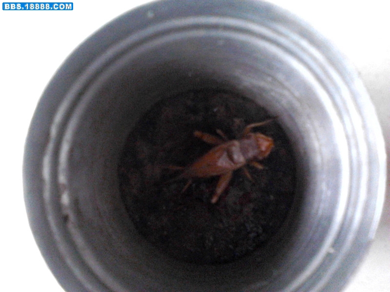 2011-11-08_11-58-21_532_副本.jpg