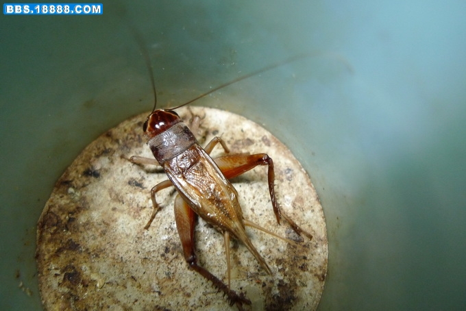 P1000990_调整大小.JPG