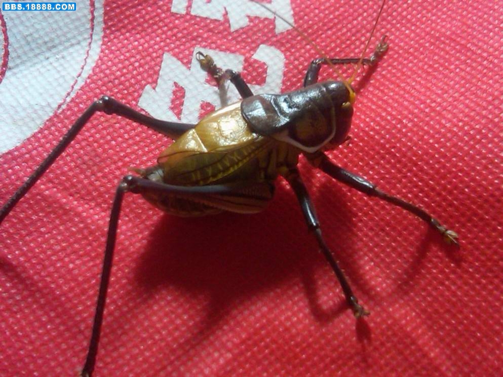 5555.JPG