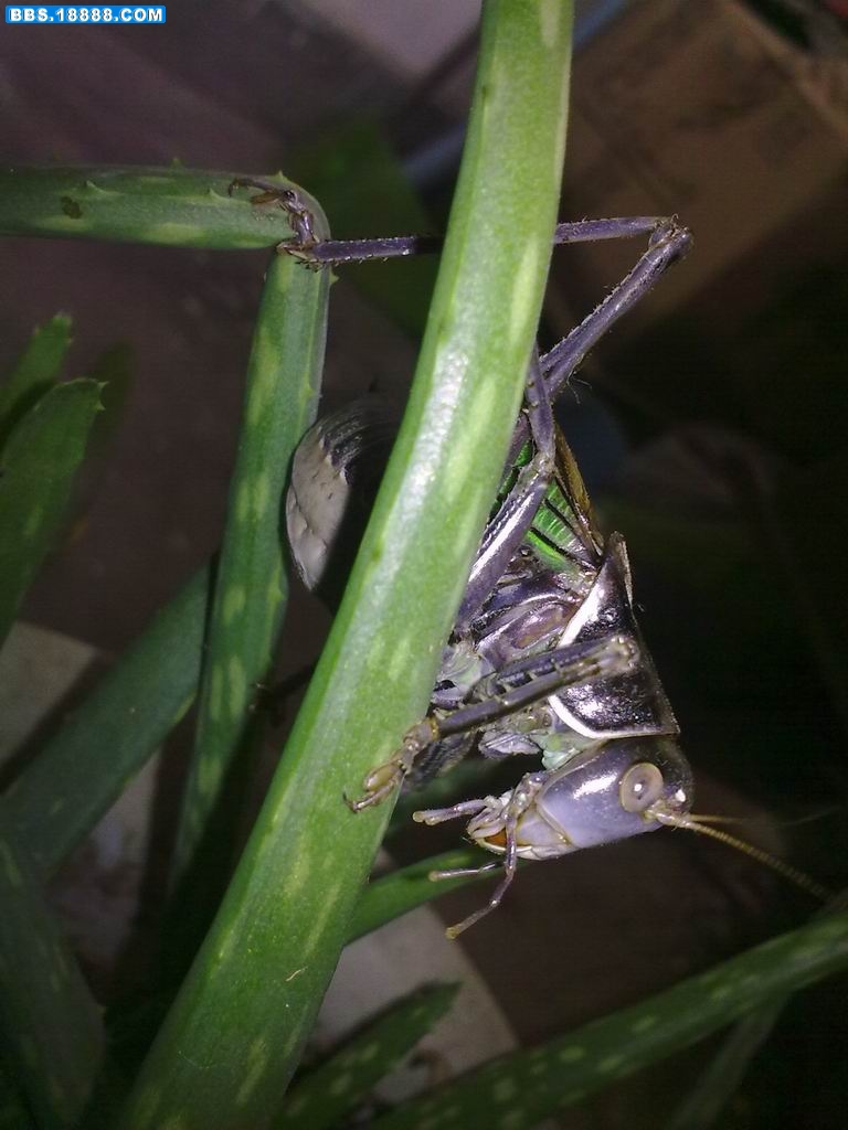 20111128366.jpg