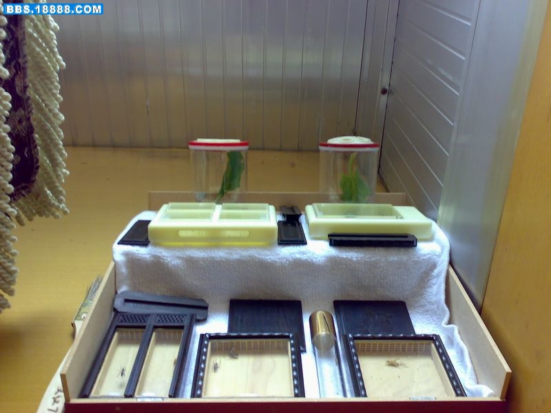 20111113246.jpg