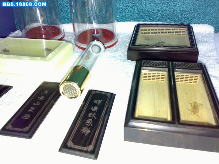20111108182.jpg