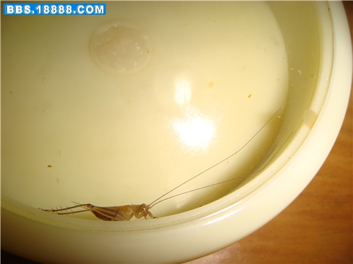 DSC05630_副本.jpg