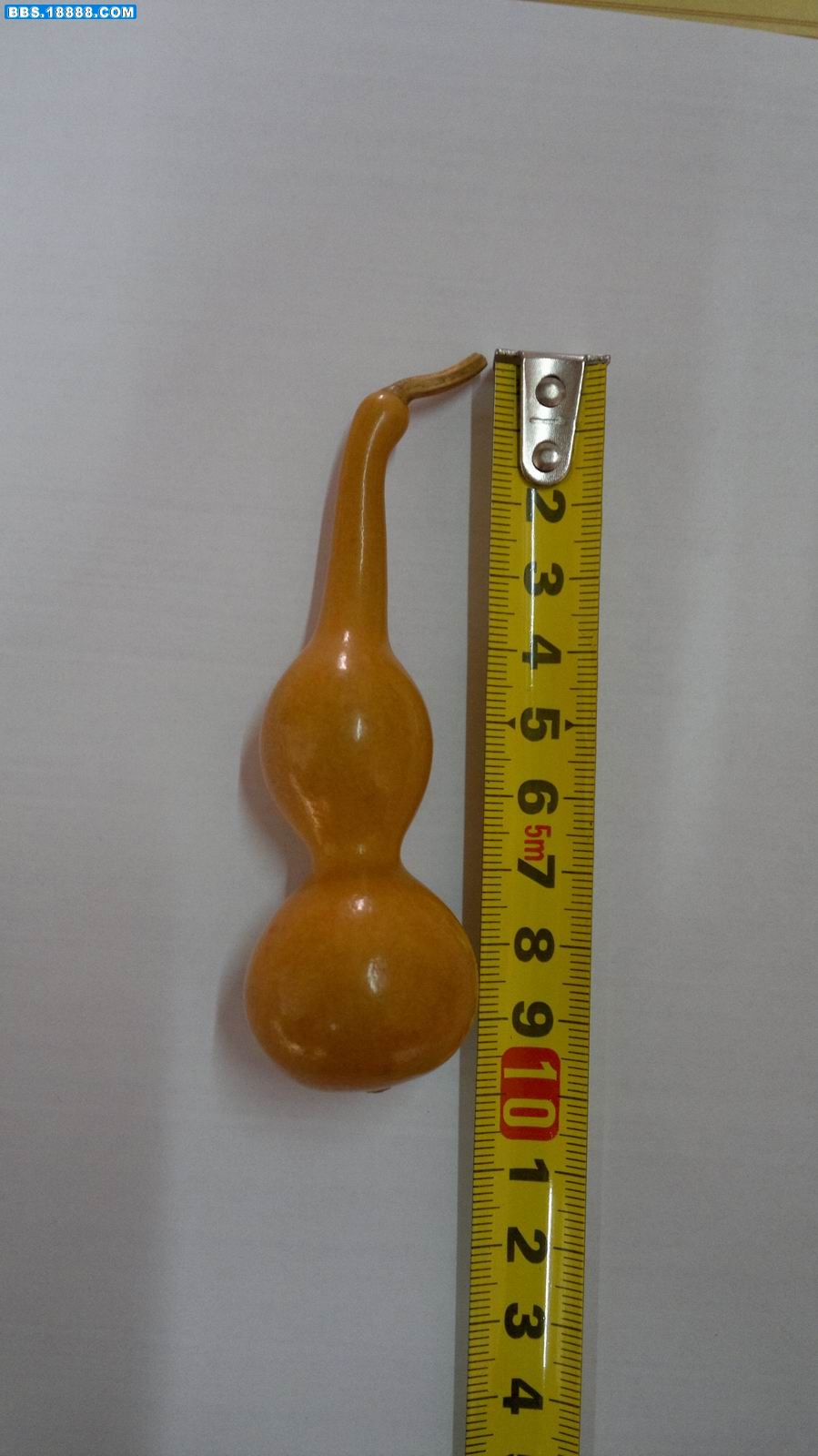 20111129088.jpg