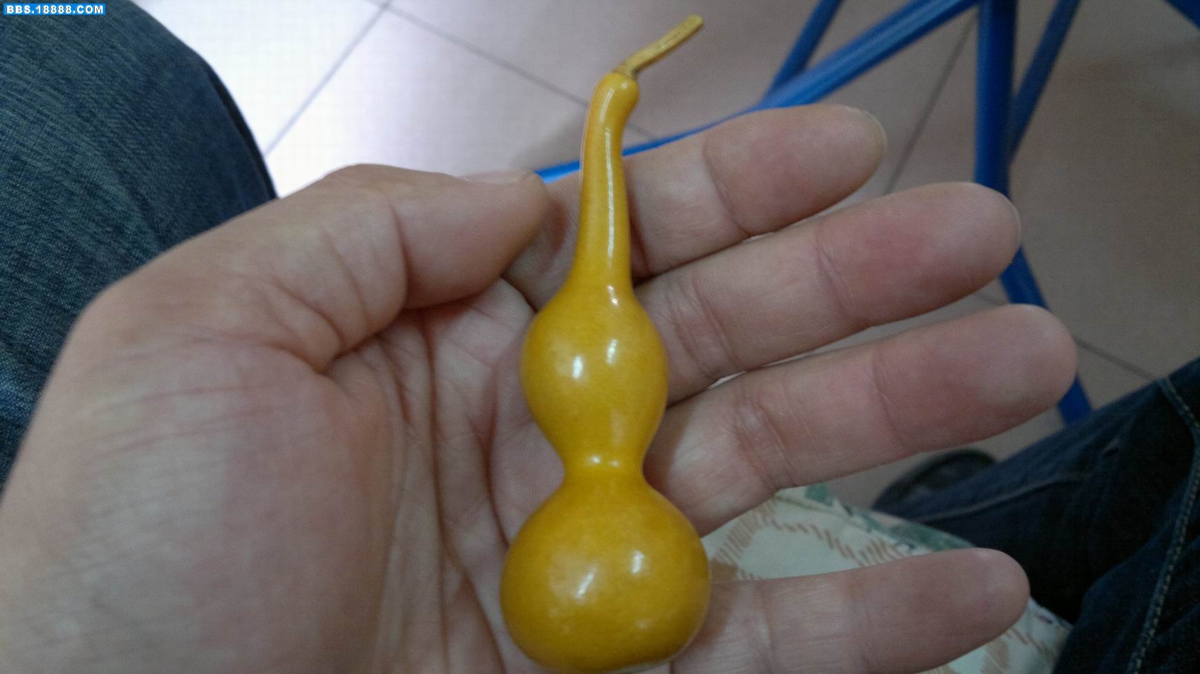 20111129084.jpg