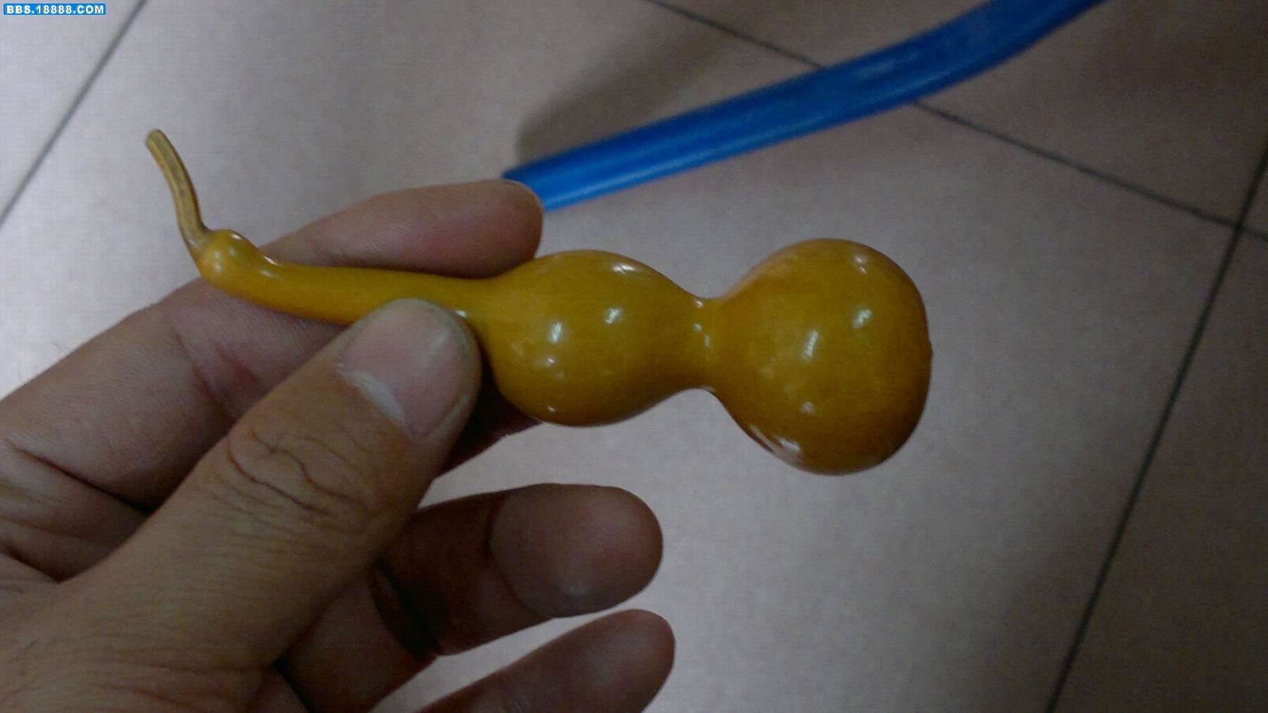 20111129085.jpg