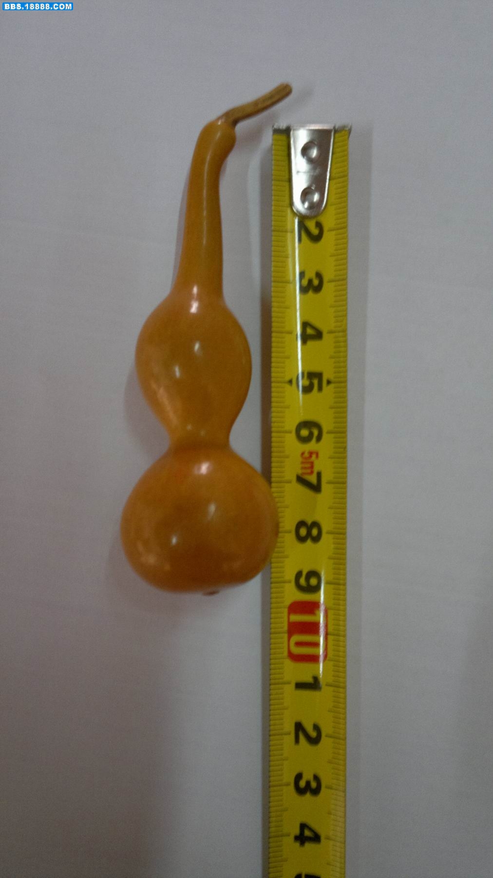 20111129087.jpg