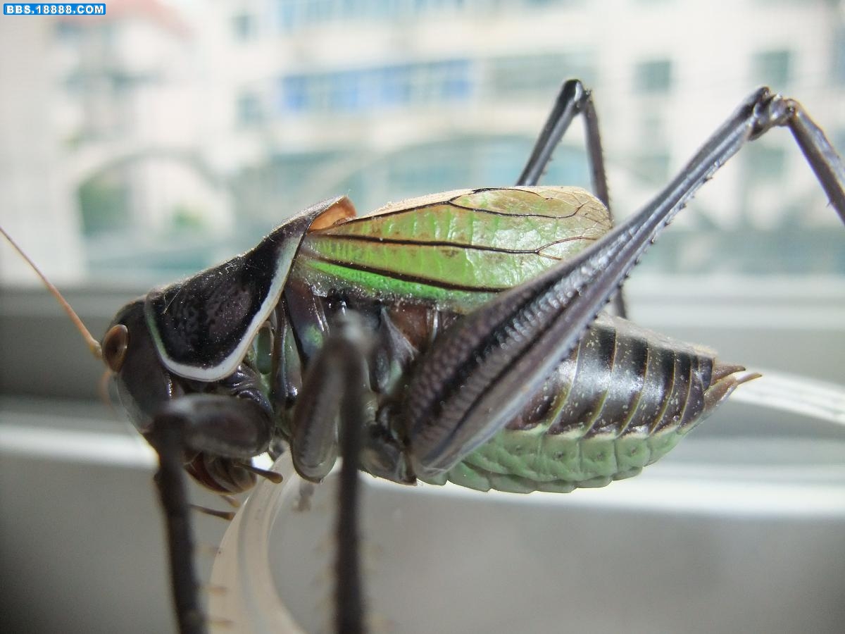 DSCF1282.JPG