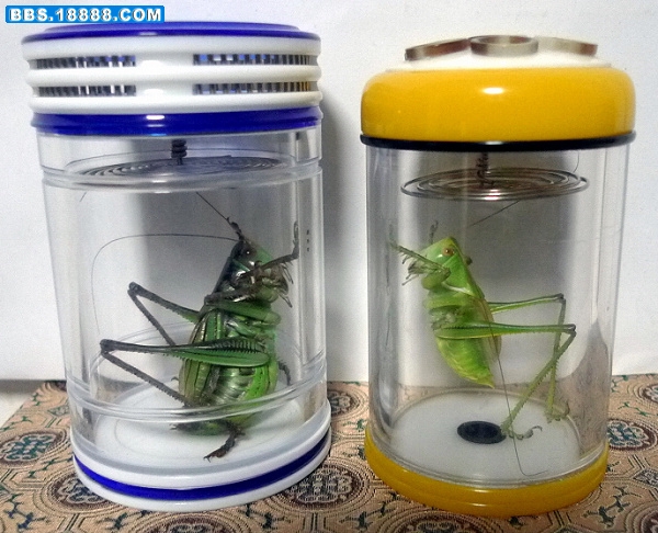 P1010152.JPG