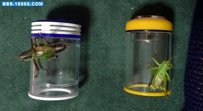 P1010153.JPG