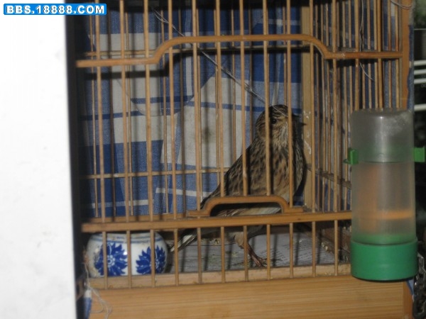 conew_img_0901.jpg