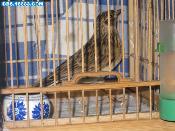 conew_img_0898.jpg