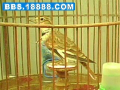 img0004a_副本.jpg