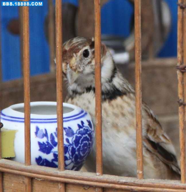 照片 006.jpg