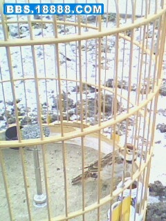 IMG0751A.jpg