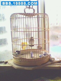 IMG0743A.jpg