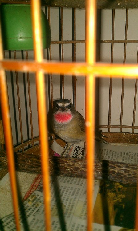 IMAG0027.jpg