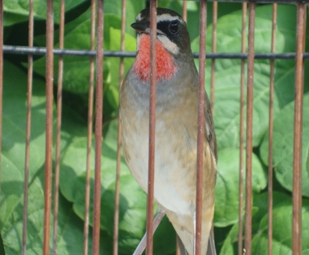 DSC04552.JPG
