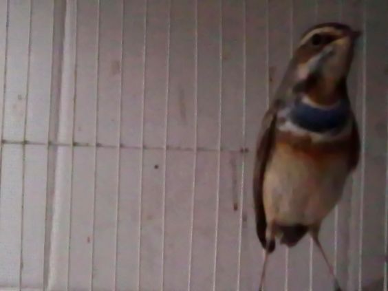 20111101143.jpg