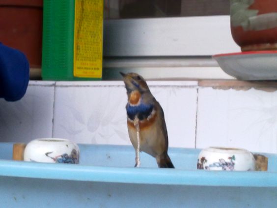 20111112377.jpg