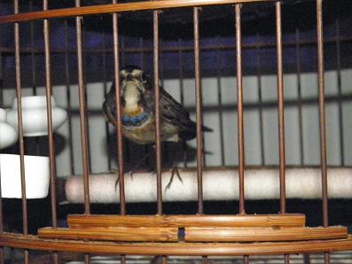 PB030049.JPG